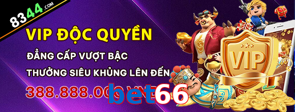 bet66