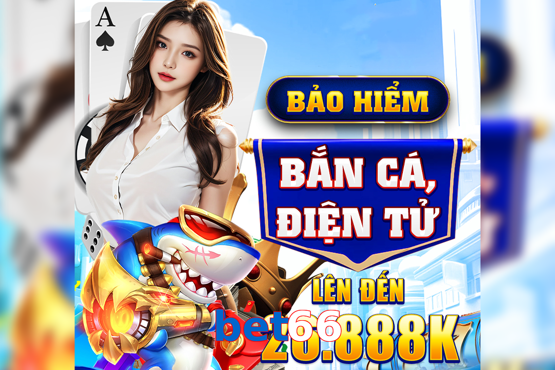 bet66
