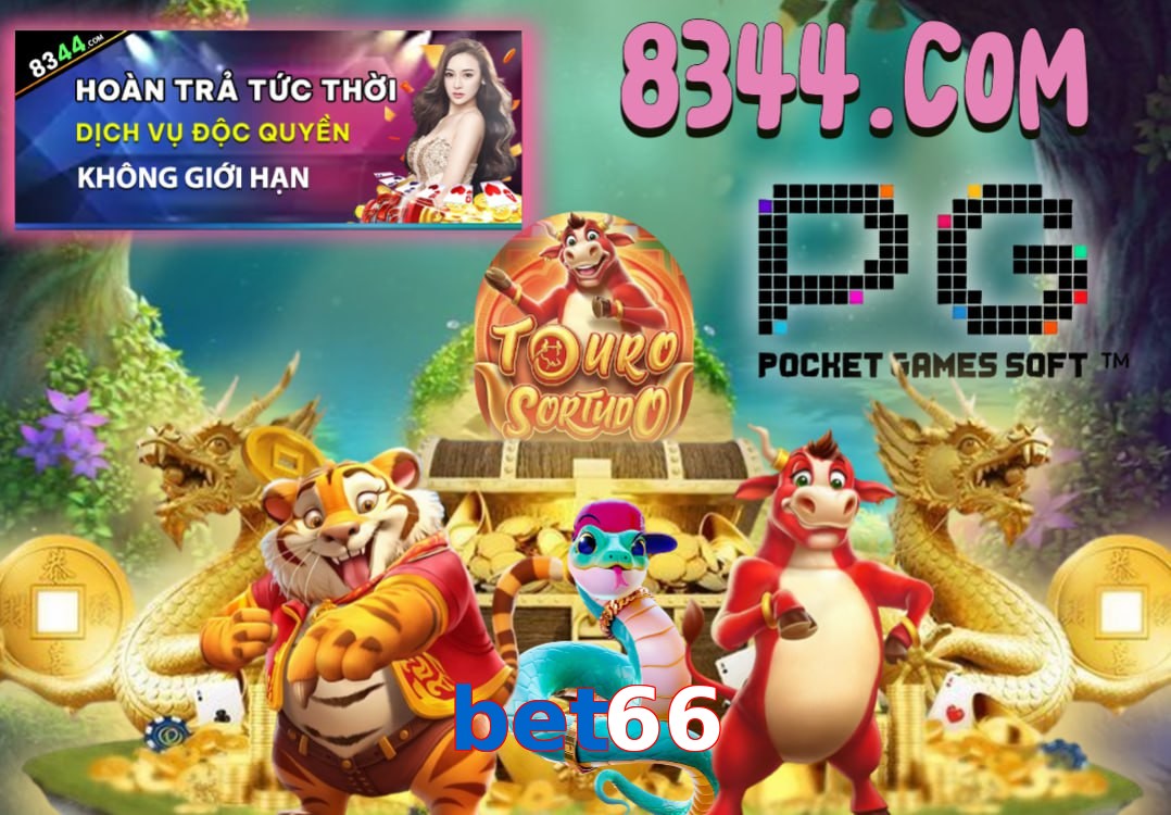 bet66