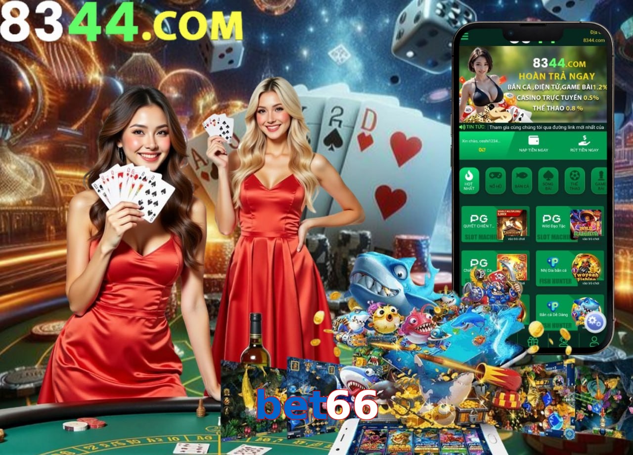 bet66